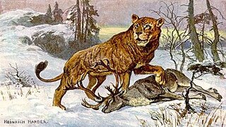 photo docs histoire : L’union du Lion et de Zion puissance et élévation