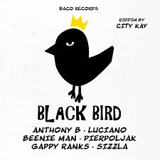 photo chronique Reggae album Black Bird Riddim de City Kay