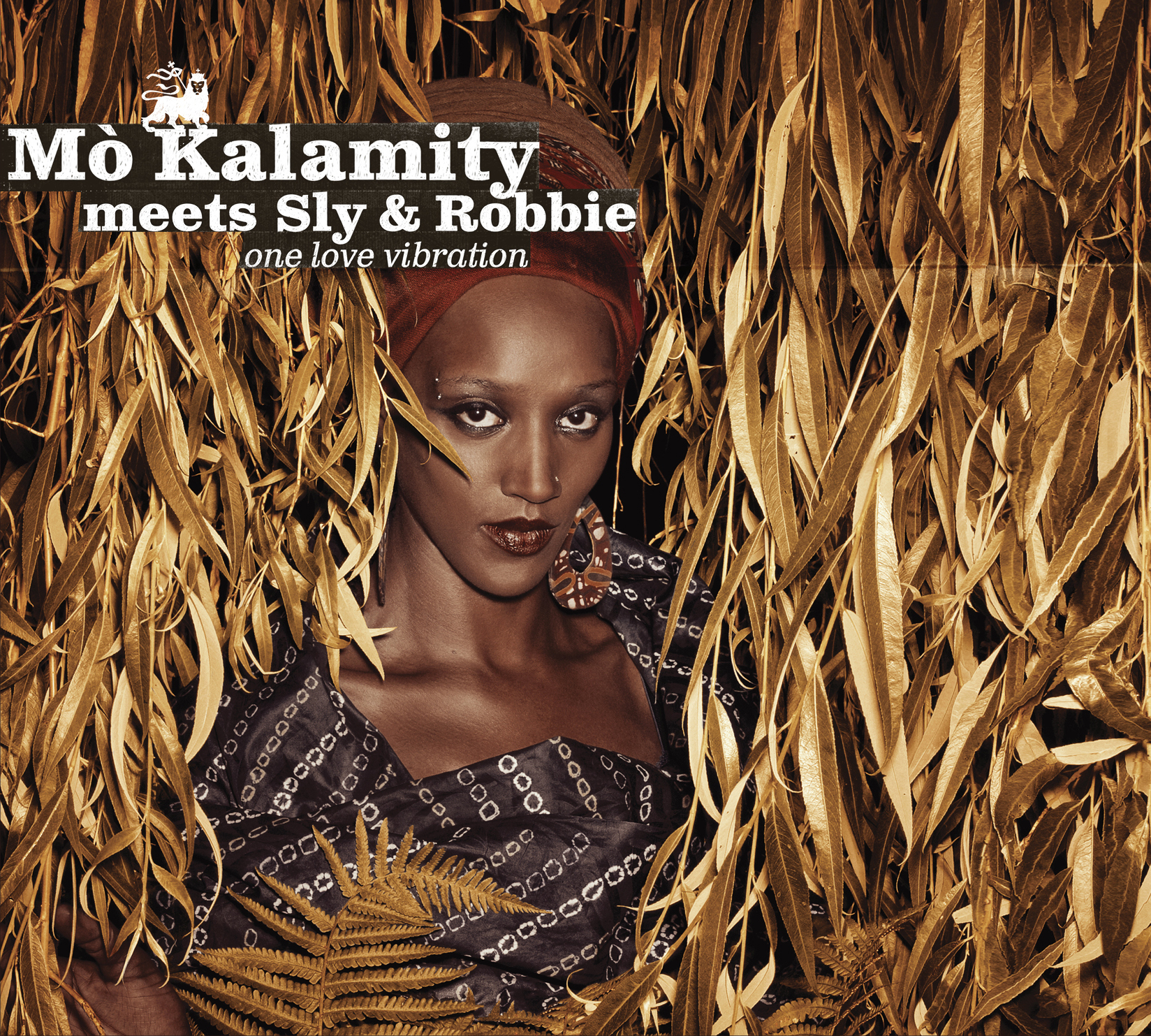 photo chronique Reggae album One Love Vibration de Mo kalamity