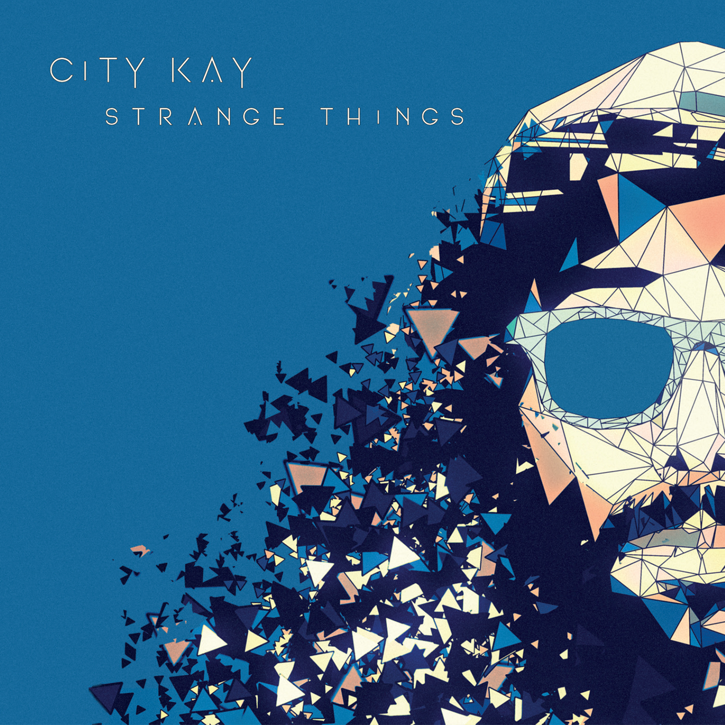photo chronique Reggae album Strange Things de City Kay