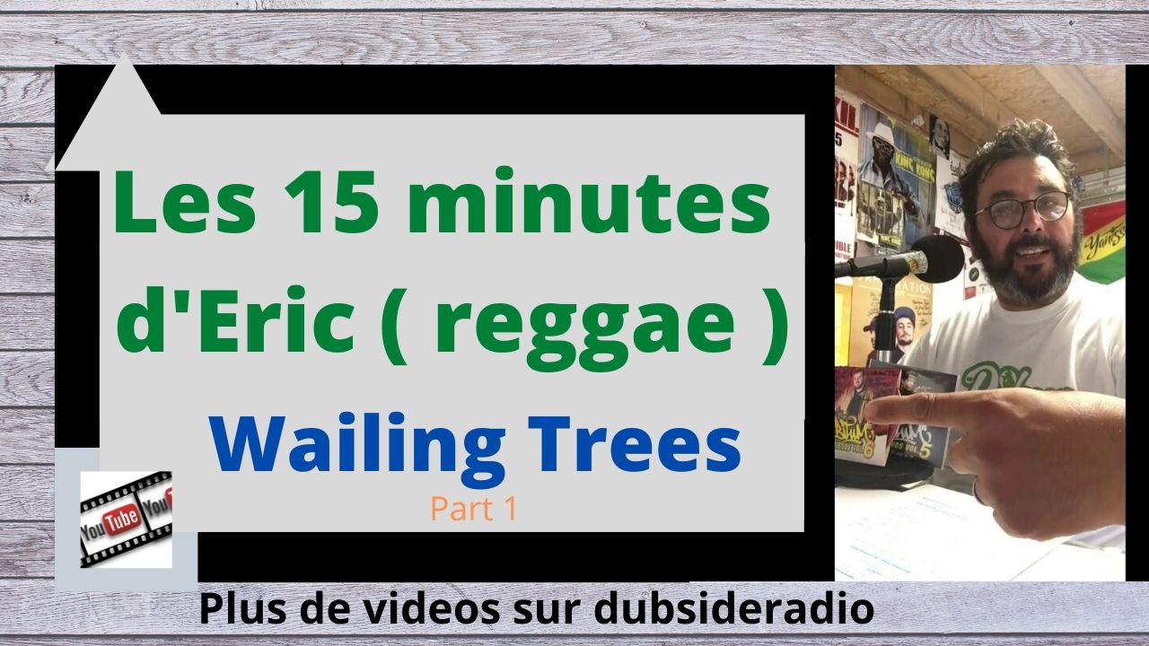 pochette-cover-artiste-Eric Kenboov-album-Les 15 minutes d'Eric | Wailing Trees Part 1 | Album Insert Sun