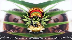 pochette-cover-artiste-Tribal Seeds-album-Tribal Seeds Roots Party